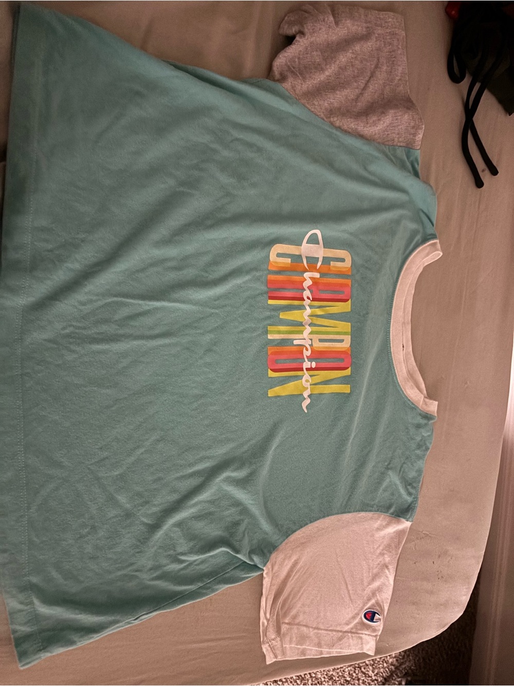 Champion Colorblock Logo cTee - Mint with White Sleeves